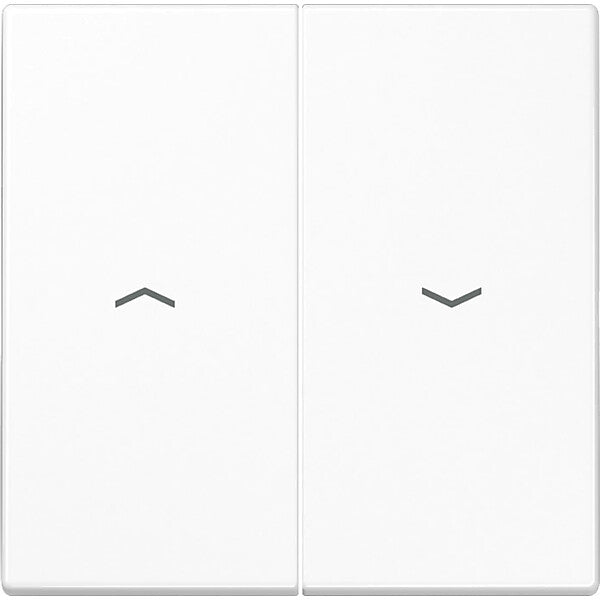 JUNG Wippe Symbole aws für Taster LS 995 P WW